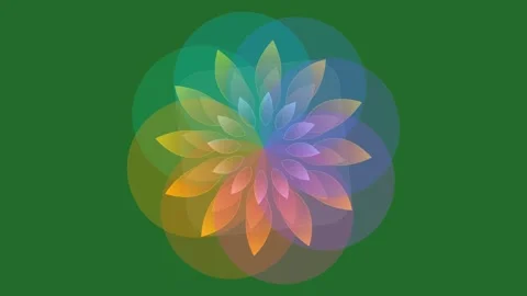 Green Flower on Green Screen Background Horizontal 16:9 Stock-Footage 339330078