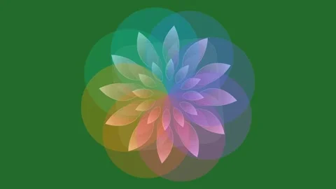 Green Flower on Green Screen Background Horizontal 16:9 Stock Footage 339330134