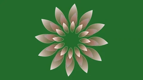 Green Flower on Green Screen Background Horizontal 16:9 Video stock 339330256