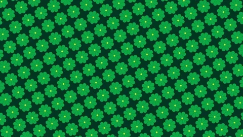 Green flower pattern background Rotating animtion 스톡 동영상 313920632