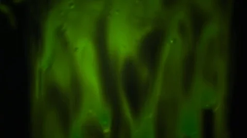 Green flowing liquid 스톡 동영상 75815319