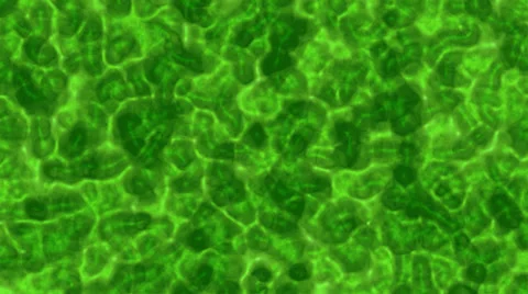 Green Fluid Stock Footage 30852949