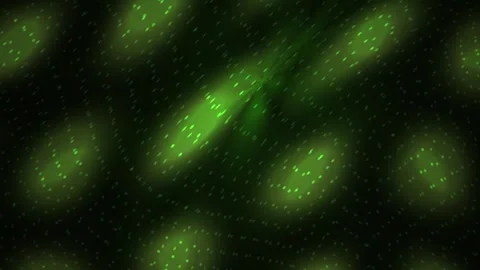 Green fluorescent cells in a dark background. Stock Footage 335527004