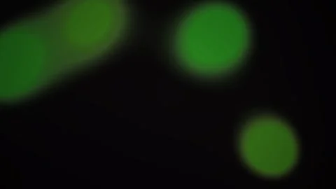 Green fluorescent cells in microscope. Stock Footage 334341017
