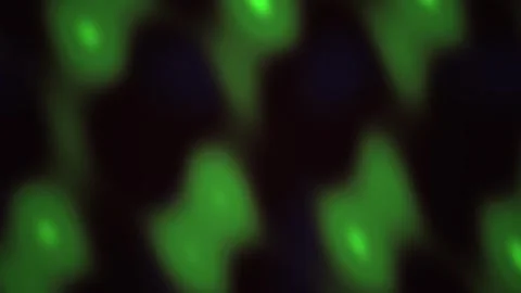 Green fluorescent cells in microscope. Stock Footage 334531026