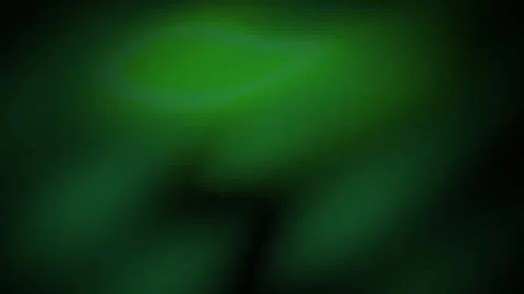Green Fluorescent Cells Under Microscope. Stock Footage 334883354
