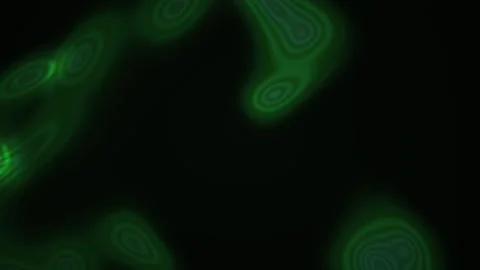 Green fluorescent circular patterns on black background. Stock Footage 335526998