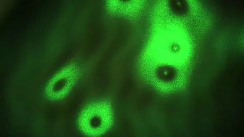 Green fluorescent microscope cells closeup. Stock Footage 334885150