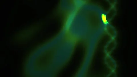Green Fluorescent Microscope Cells Moving. Stock Footage 334684524