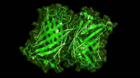 Green fluorescent protein Stock Footage 52462395