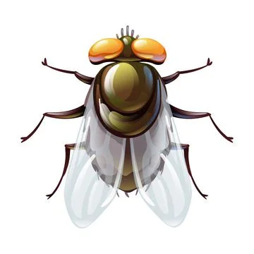Green fly bug in cartoon style, stylized insect 스톡 일러스트