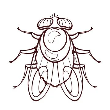 Green fly bug in cartoon style, stylized insect Stock Illustration