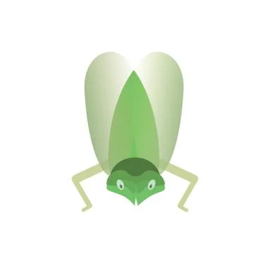 Green flying insect on a white background Stock Illustration