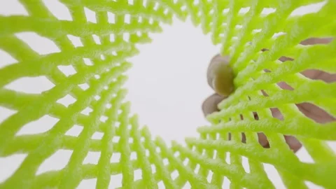 Green foam net for wrapping fruit. Stock Footage 236745548