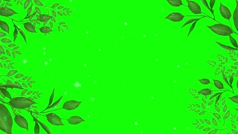 Green foliage branches frame with sparkling stars floating against a bright Stock Footage 345335311