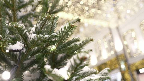 Green foliage, bright decorations, warm golden lights, and soft background blur 库存影片 341661111
