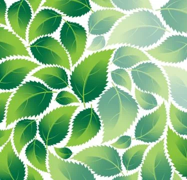 Green foliage Stock Illustration