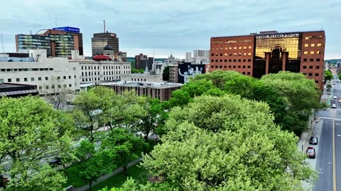 Green Foliage - Syracuse, NY Video stock 336227918