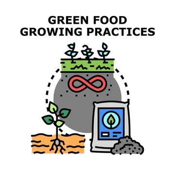 Green food growing practices concept icon vector Illustrazione stock
