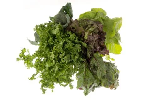 Green food Foto stock