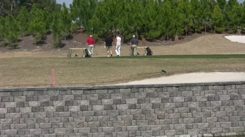 On the Green Stock Footage 641742