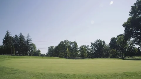 Green Vidéo 78810398