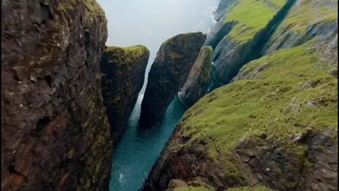 Green Stock Footage 240362266