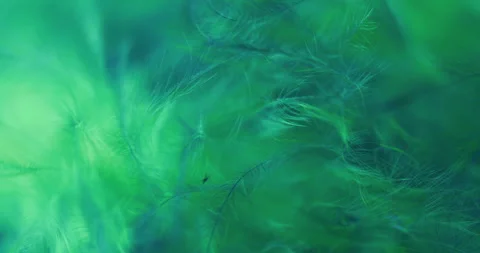 Green. Stock Footage 277277679