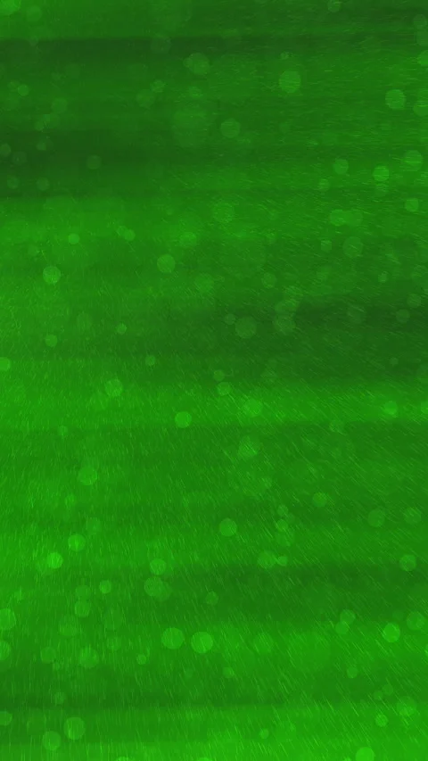 Green Stock Footage 296221479