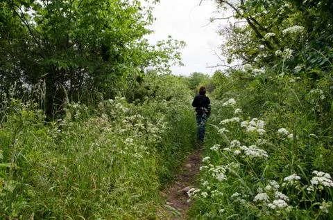 Green footpath Stock Photos