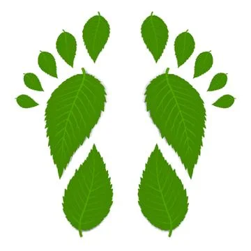 Green footprint Stock Illustration