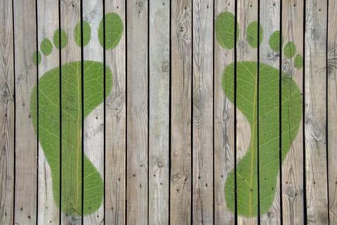 Green footprints with the texture of a tree leaf on the plank floor, Foto stock