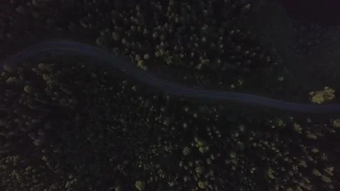 Green forest in Abkhazia. Stock Footage 150109117