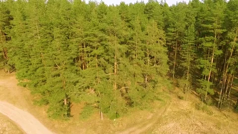 Green forest aerial Stock Footage 153049417