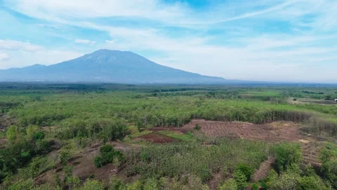 Green Forest Aerial View with Volcano Mountain Stock Footage 346384428