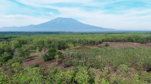 Green Forest Aerial View with Volcano Mountain Stock Footage 346384629