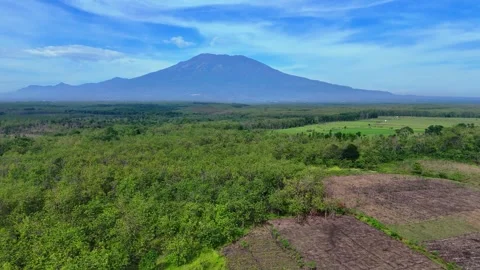 Green Forest Aerial View with Volcano Mountain Stock Footage 346385073