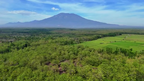 Green Forest Aerial View with Volcano Mountain Stock Footage 346385216