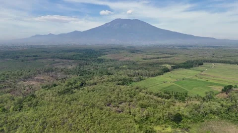 Green Forest Aerial View with Volcano Mountain Stock Footage 346385618