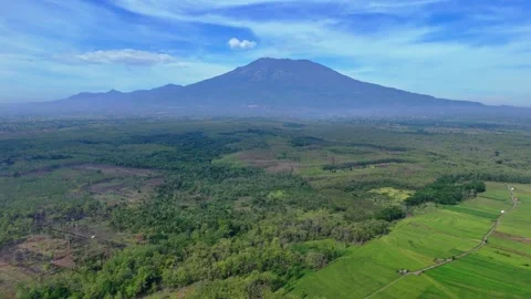 Green Forest Aerial View with Volcano Mountain Stock Footage 346385701