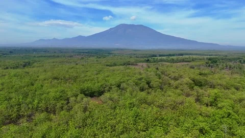 Green Forest Aerial View with Volcano Mountain Stock Footage 346386139