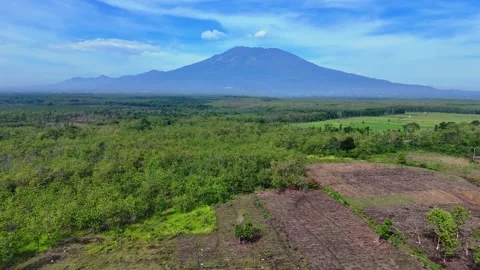 Green Forest Aerial View with Volcano Mountain Stock Footage 346386165