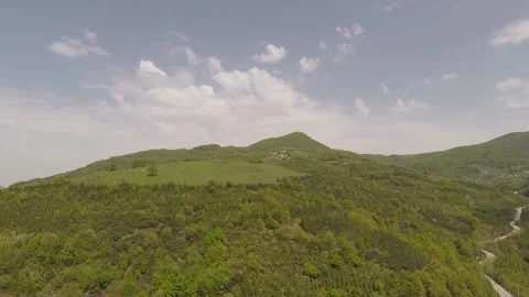 Green forest and cloudy sky Stock Footage 188537865
