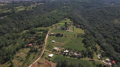 Green forest and fields of Amealco seen from an aerial perspective Stock Footage 344595519