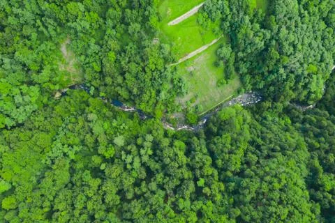 Green forest and flowing river, aerial view. Texture of green forest Stock Photos