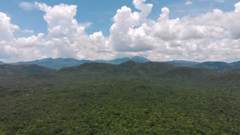 Green forest and mountain Stock Footage 92478255