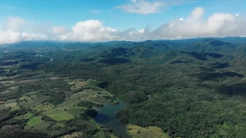 Green forest and mountain Video stock 95940498