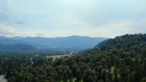 Green forest and mountains far away in Altai Stock Footage 197377591