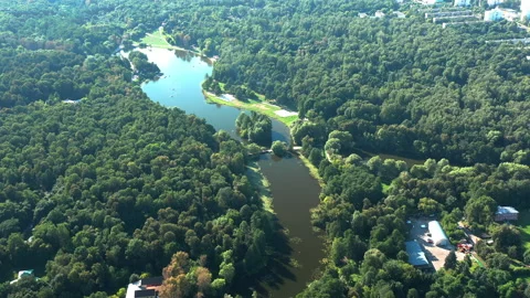 Green forest and river in the middle. Panoramic high angle view from above. Stock Footage 140355867