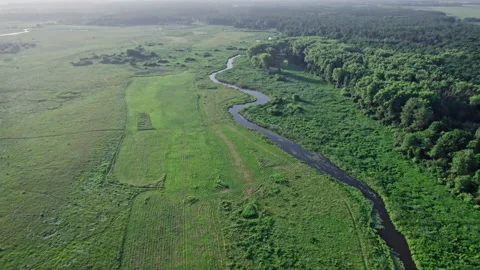 Green forest and river in summer Stock Footage 157635443